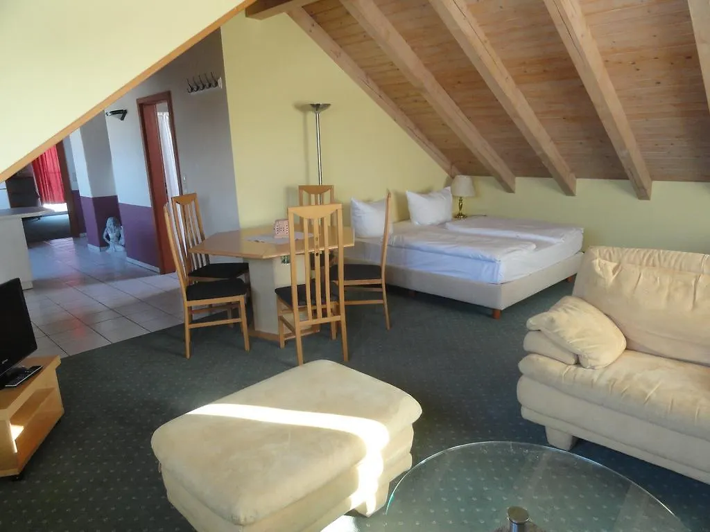 Comfort Hotel Frankfurt Airport Moerfelden-Walldorf 3*,  Germany
